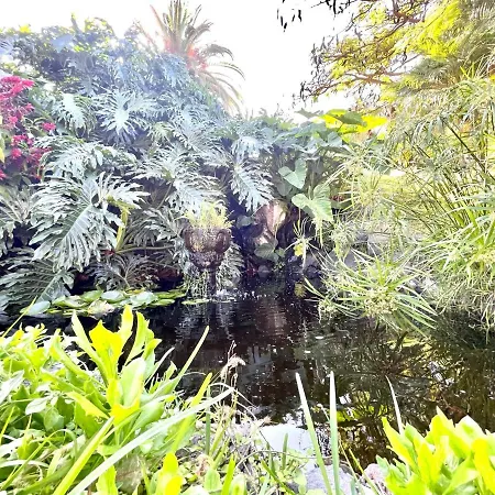 Single Studio E With Wifi, Balcony, Swimming Pools