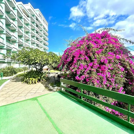 Single Studio E With Wifi, Balcony, Swimming Pools 푸에르토 드 라 크루즈
